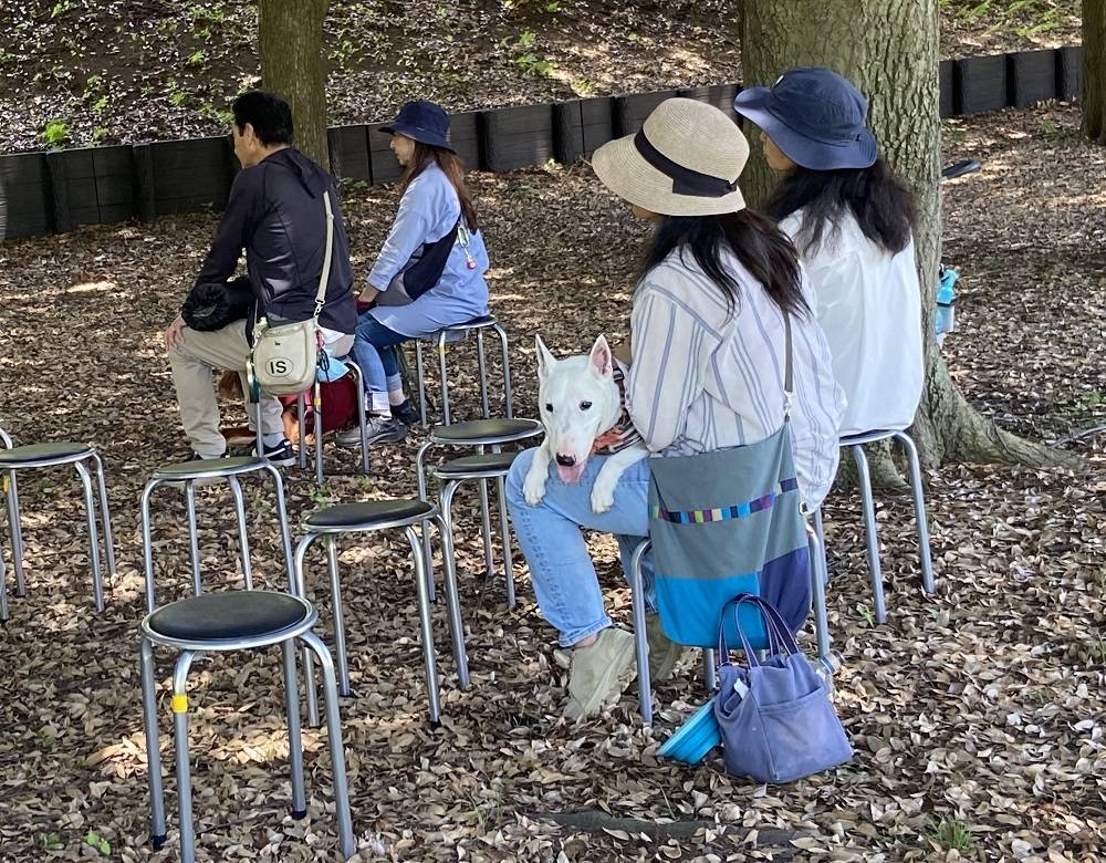 ペット防災セミナーに参加したワンちゃん.jpg