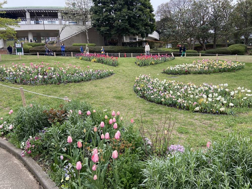球根ミックス花壇 (2).jpg