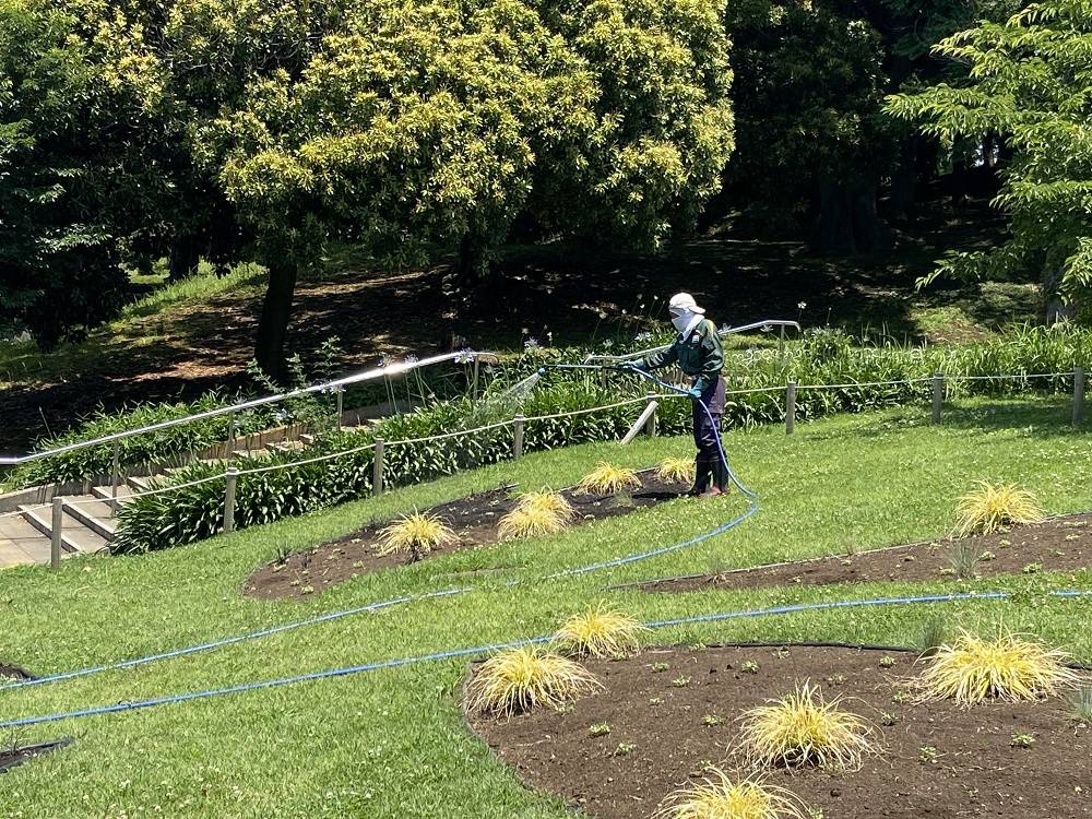 花壇の灌水.jpg