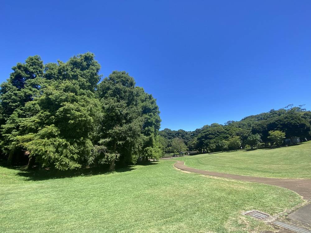 芝生広場1.jpg