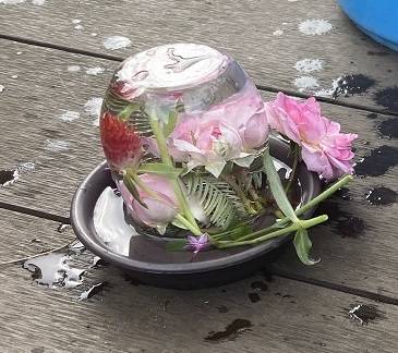 水中花を作ろう.jpg