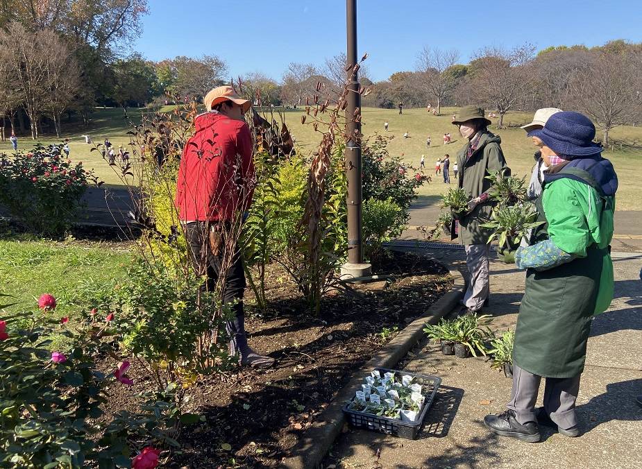 市民共同花壇植え替え.jpg