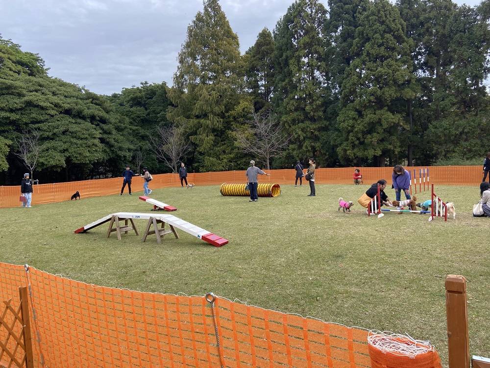 １１．１６ドッグラン (2).jpg