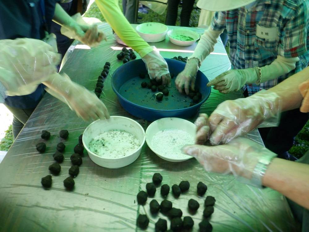 タネダンゴを作り1.jpg