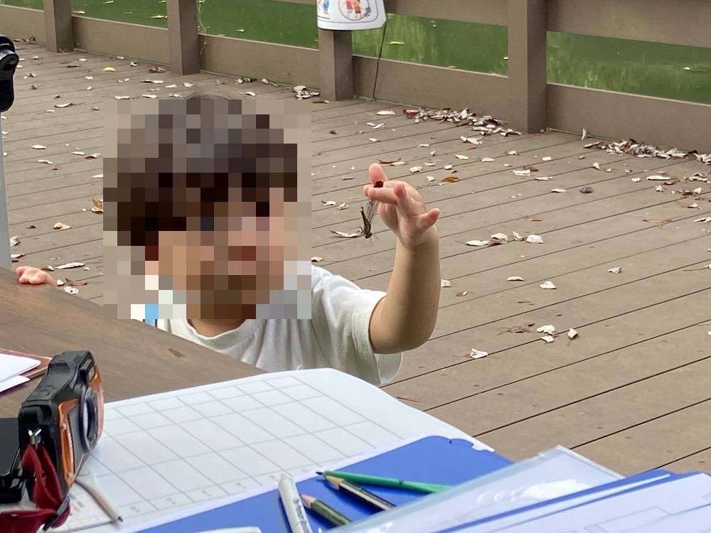 トンボ採ったよ.jpg