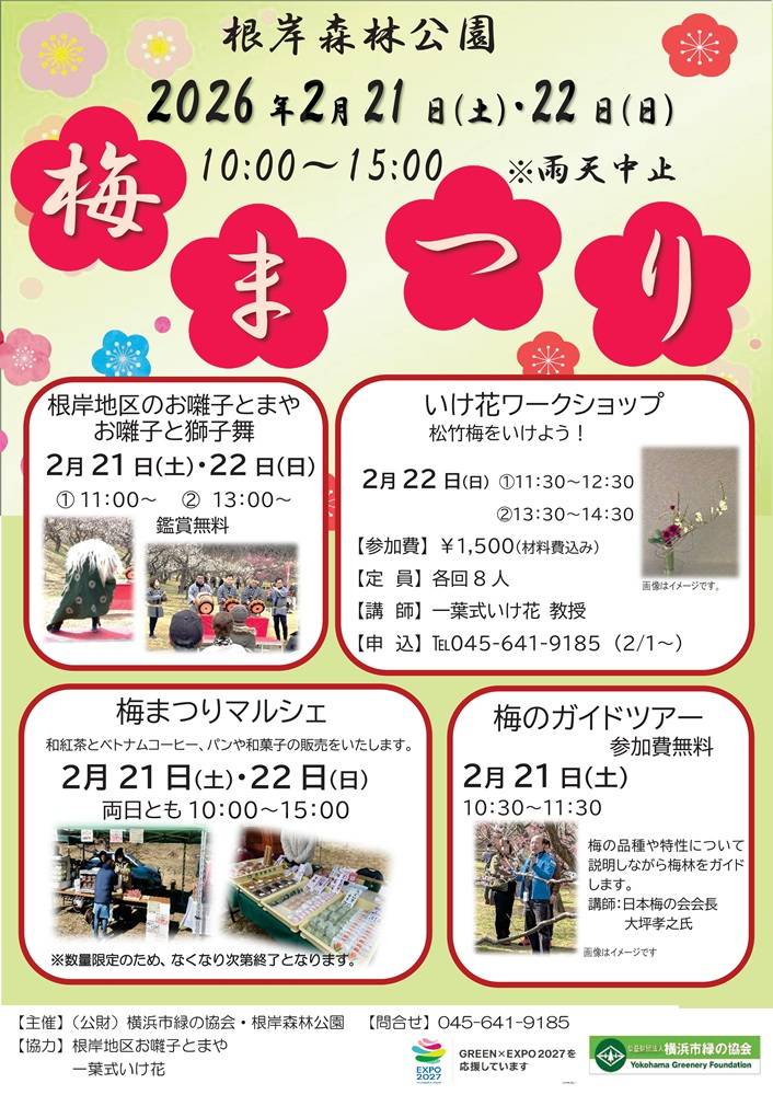 梅まつりを開催します。|｜ブログ|根岸森林公園公式サイト｜公益財団