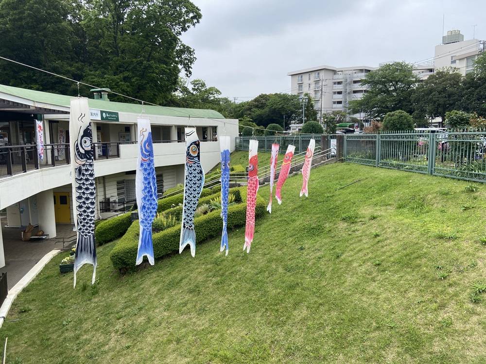 こいのぼり２.jpg