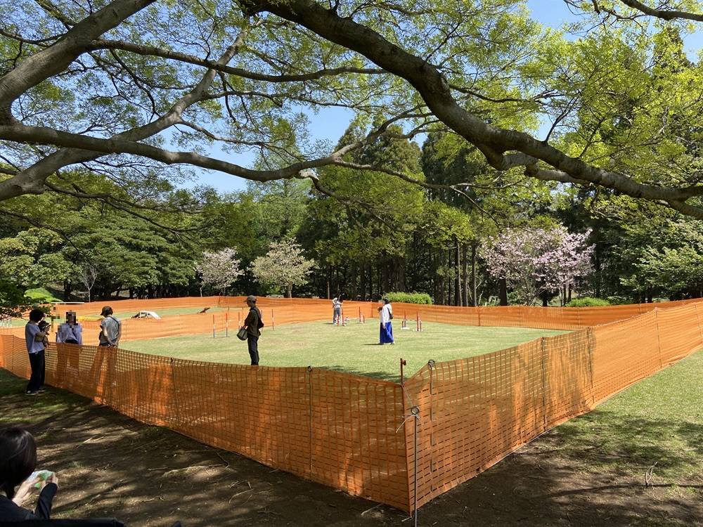 根岸森林公園ドッグラン|｜ブログ|根岸森林公園公式サイト｜公益財団