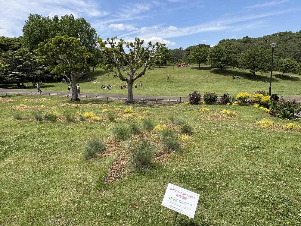 花びら花壇.jpeg