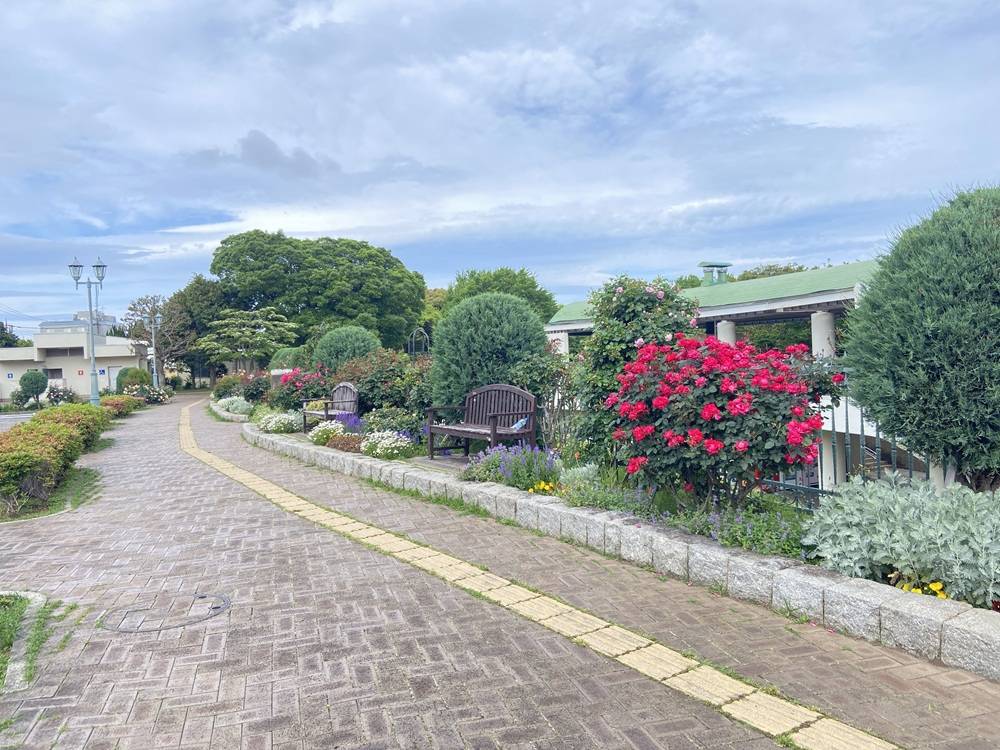 香のバラ園.jpg