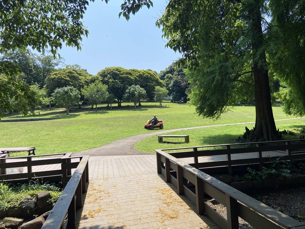 池の周辺の芝刈り.jpg