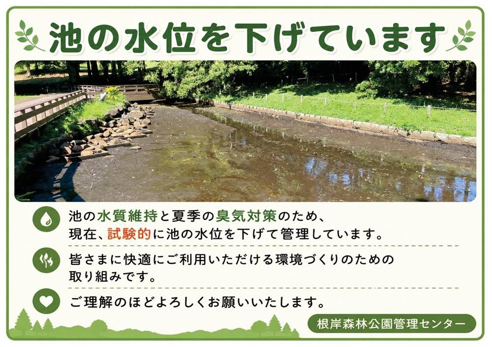 池の水位.jpg