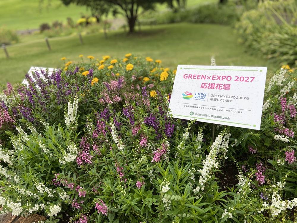 花博応援花壇.jpg