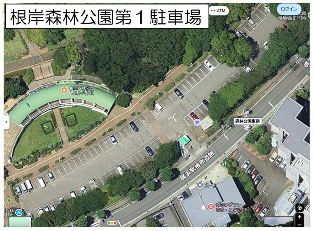 駐車場.jpg