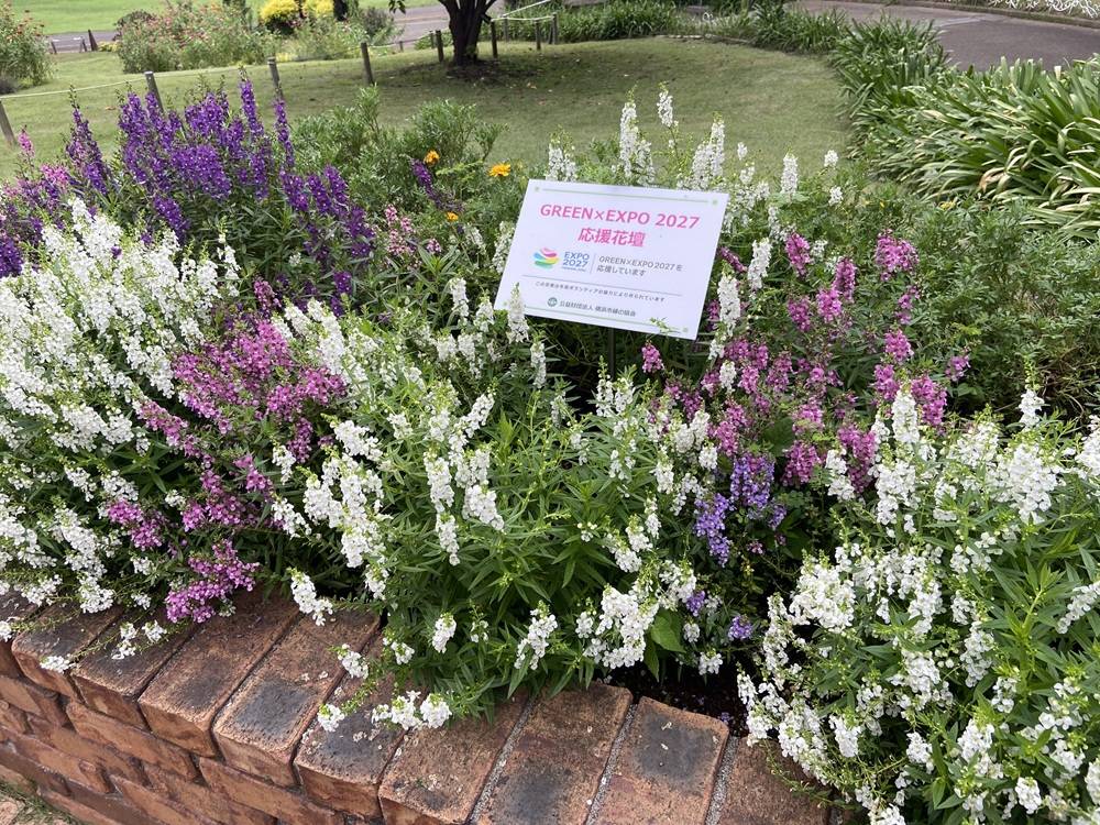 花博応援花壇.jpg
