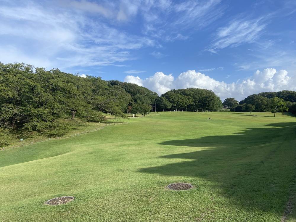 朝の芝生広場1.jpg