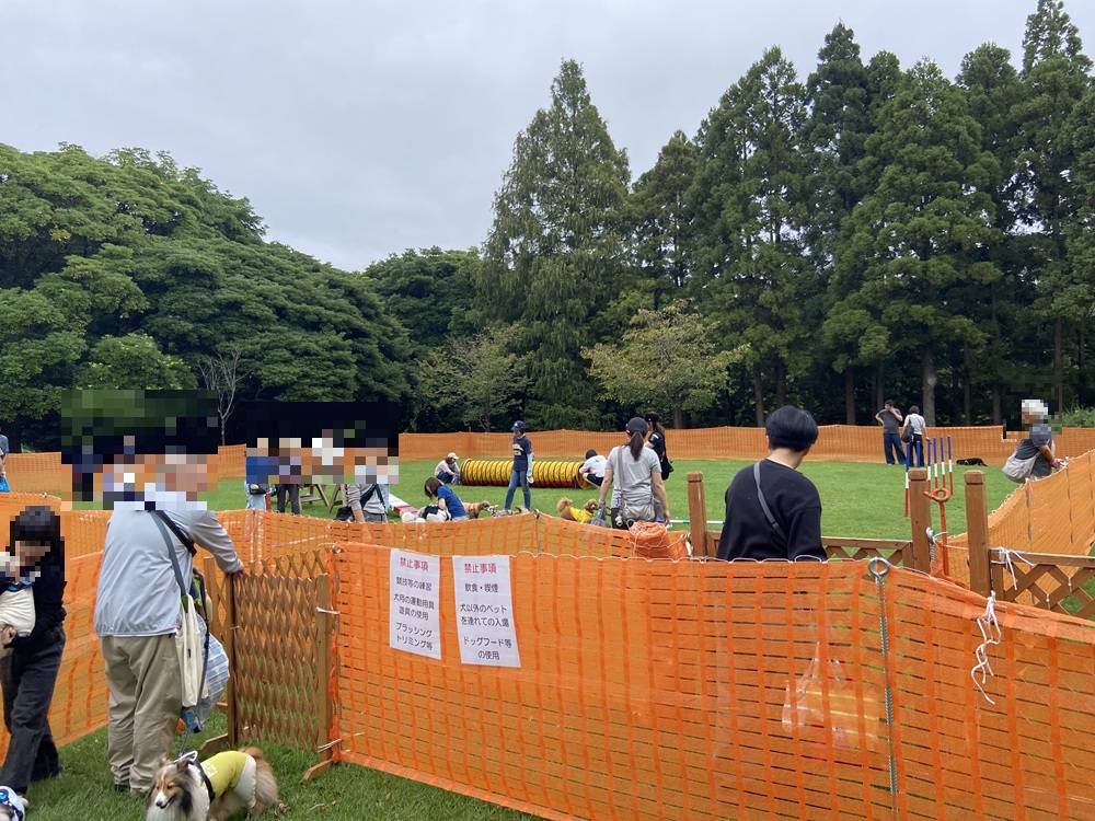 ドッグラン9.19.jpg