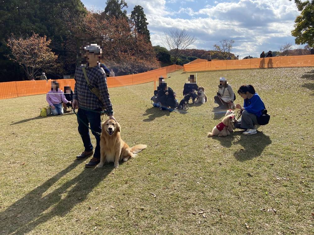 審査の様子.jpg
