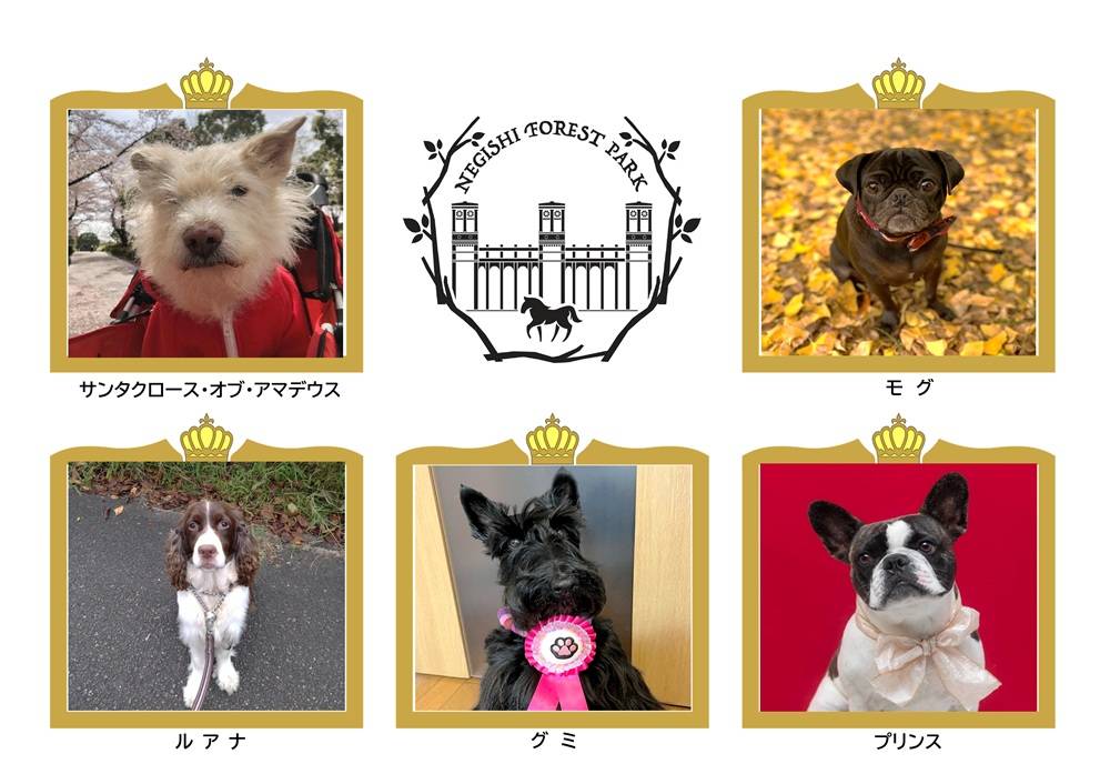 Microsoft Word - 根岸森林公園 初代わんバサダー額用-01.jpg