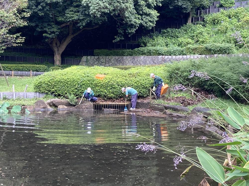 池の排水口の清掃.jpg