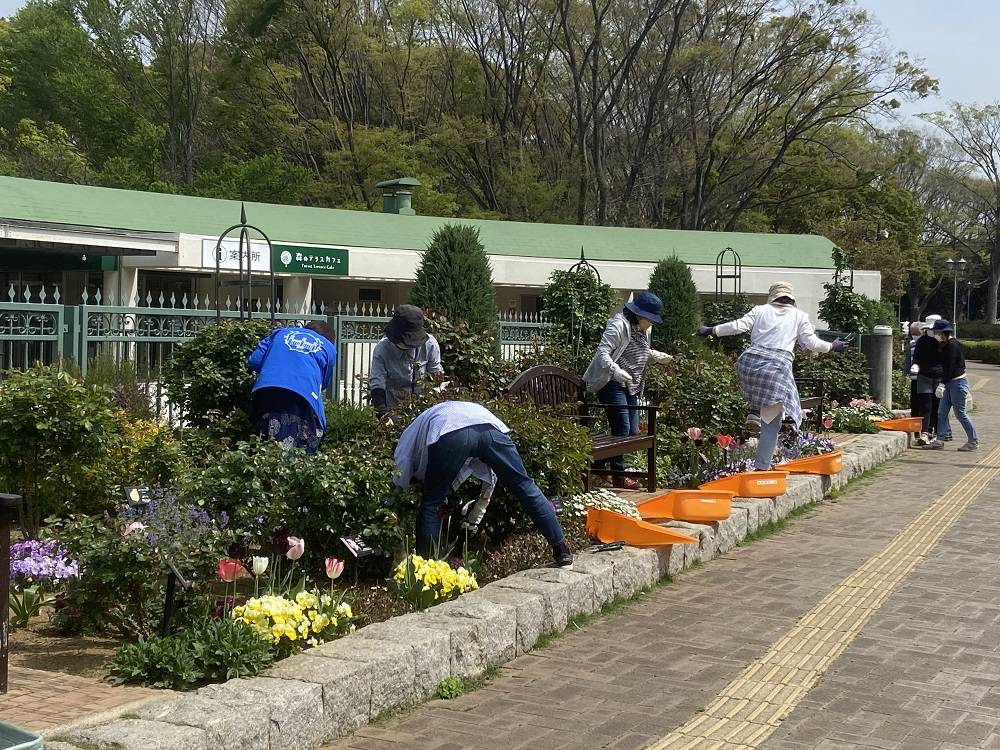 バラボラ(2).jpg
