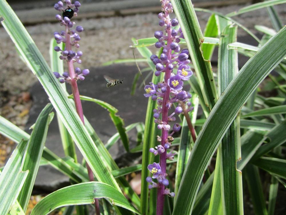 IMG_2852 - コピー.jpg