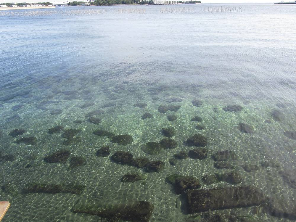今日の素敵な風景をご紹介します||ブログ|野島公園/旧伊藤博文 今日の素敵な風景をご紹介します||ブログ|野島公園/旧伊藤博文