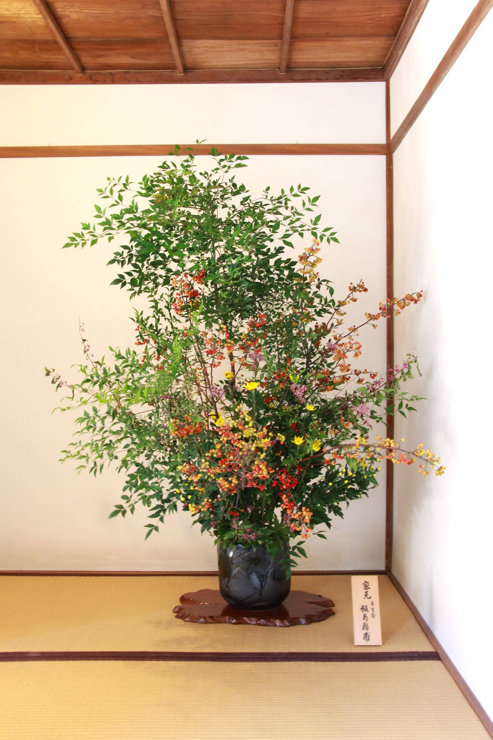季節の花の展示 飯島鼎甫 令和6年10月博文邸畳廊下 IMG_1791.jpg