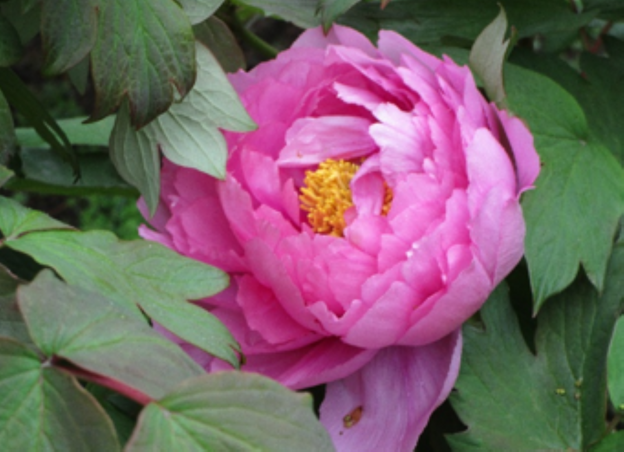 スクリーンショット 2026-04-01 184758.png