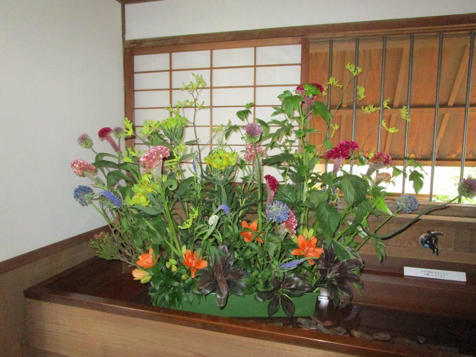 IMG_2363.jpg