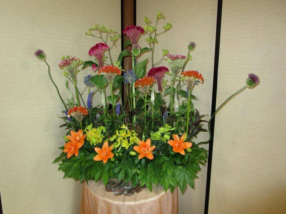 IMG_2361.jpg