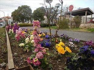 もうすぐ春です♪