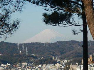 富士山が見えます!の写真