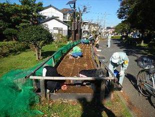 花苗の植付 ～秋～