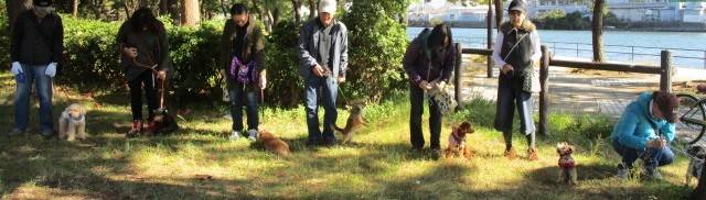 野島公園・秋のイベント「愛犬マナー教室」「秋の花苗植付け」の写真