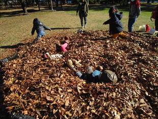 落ち葉プール開催しました！