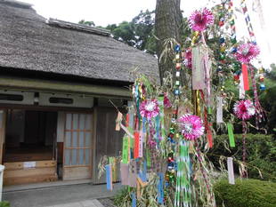 旧伊藤博文金沢別邸　七夕飾り