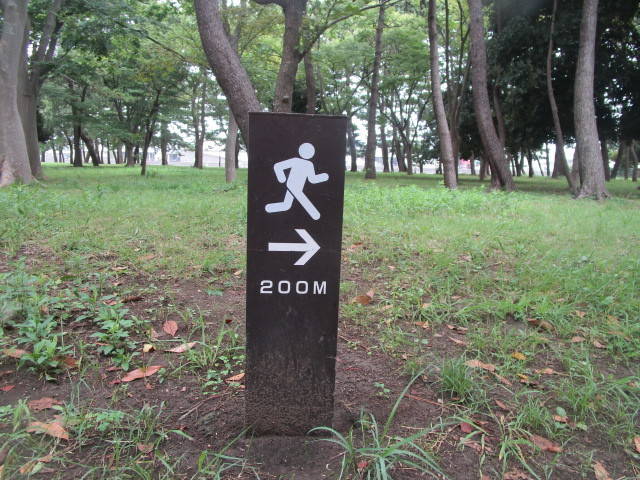 公園で健康づくり!の写真