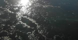 野島運河が凍った！