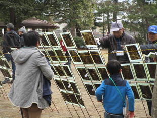 海苔づくり教室