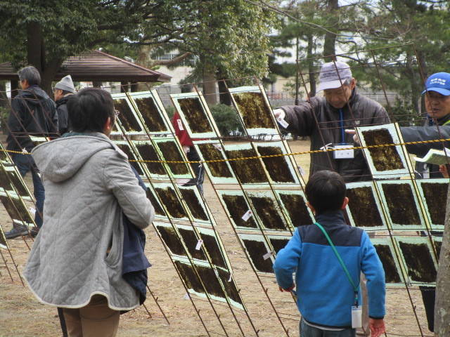 海苔づくり教室の写真