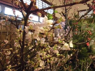 旧伊藤博文金沢別邸 花と博文邸 初日