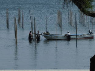 旧伊藤博文金沢別邸　秋の気配