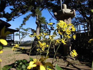 旧伊藤博文金沢別邸　１１月の博文邸