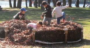 「落ち葉プール」を実施しました！