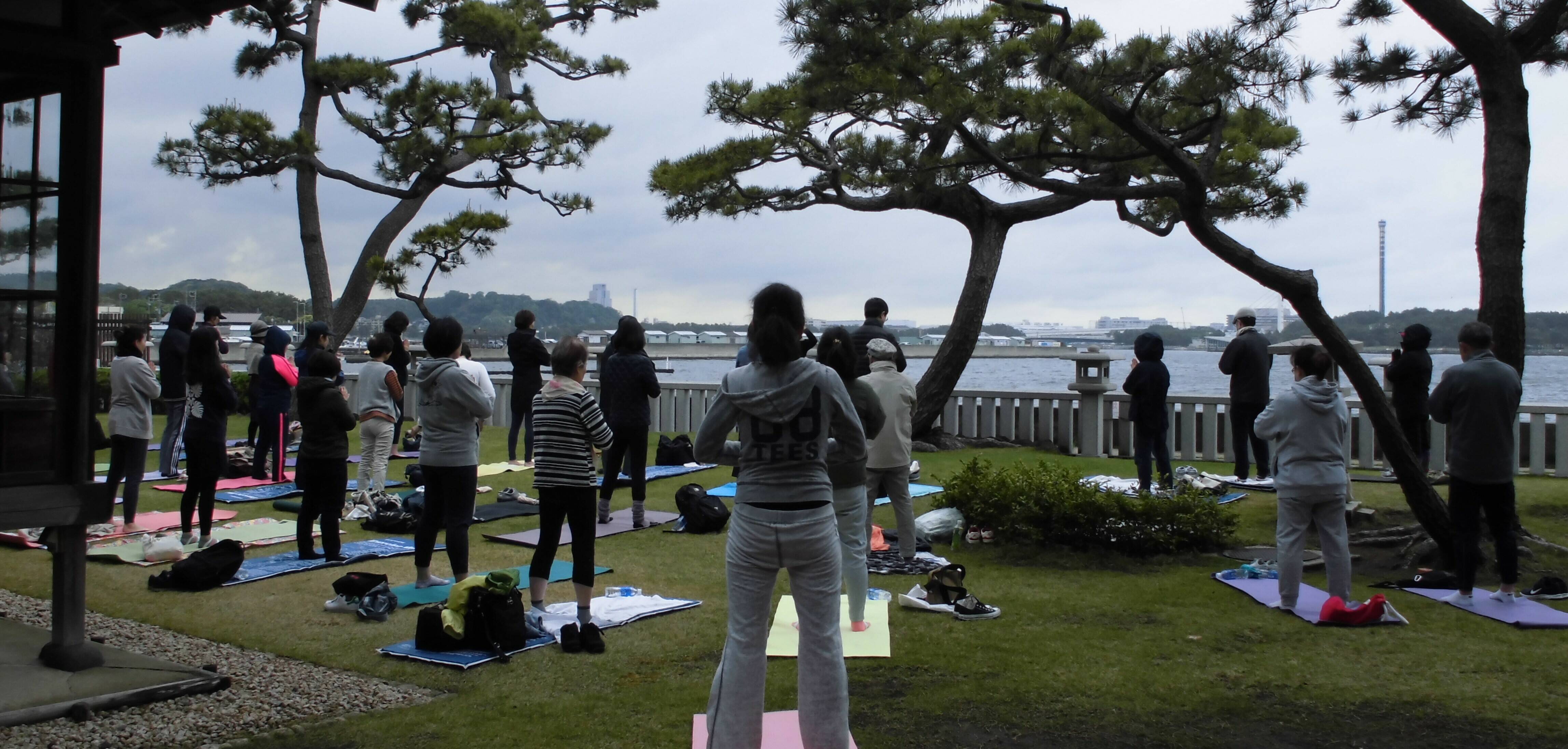 庭園ヨガを開催しましたの写真