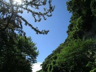 いよいよ夏が来る・・・のかな