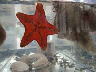 第25回金沢水の日を開催しました。