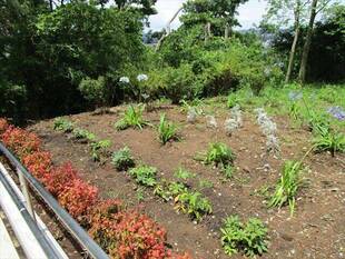 野島山の階段頂上を花で明るく