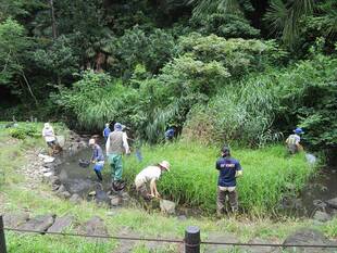 「自然観察会」を開催しました